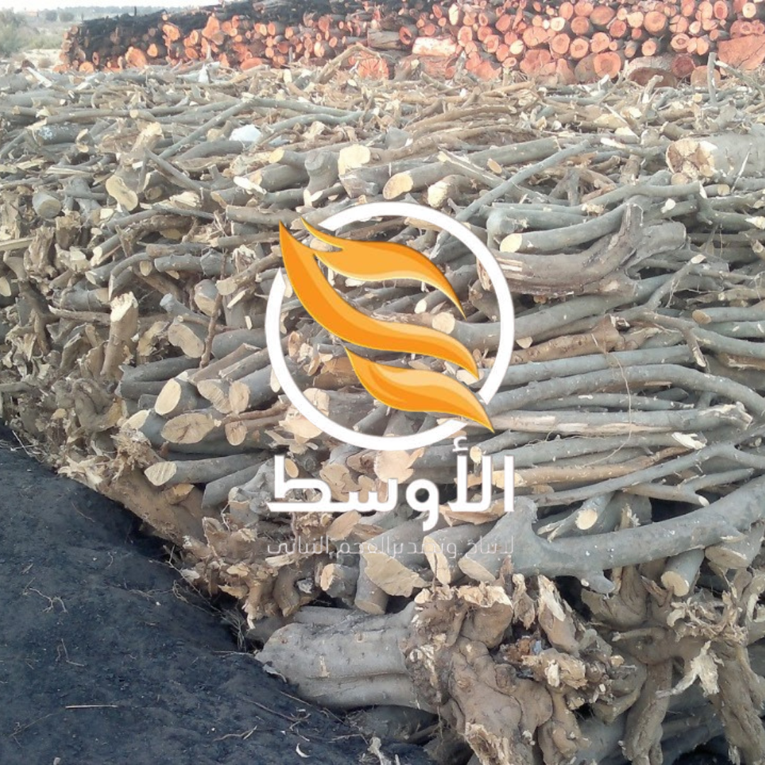 حطب البرتقال للتصدير . حطب للتصدير لغرض المشاوي