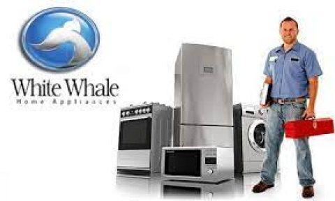 توكيل ديب فريزر وايت ويل في شبين الكوم 01096922100