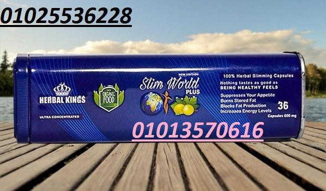 Slim World Plus