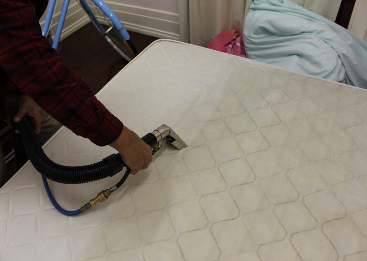 شركه تنظيف مجالس بضباء اتصل 0548624224