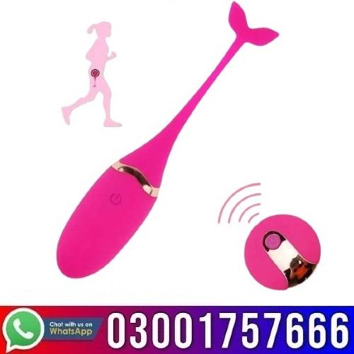 Wireless Fish Vibrator With Remote Control in Pakistan - 03001757666