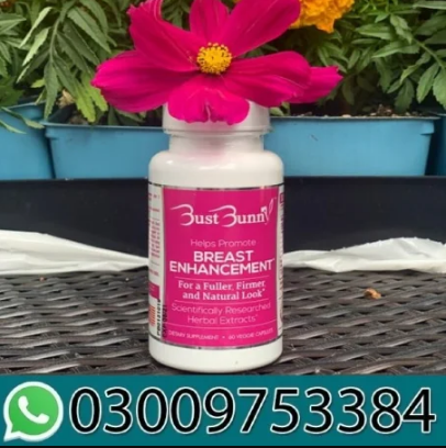 Bust Bunny Price In Gujranwala 03009753384