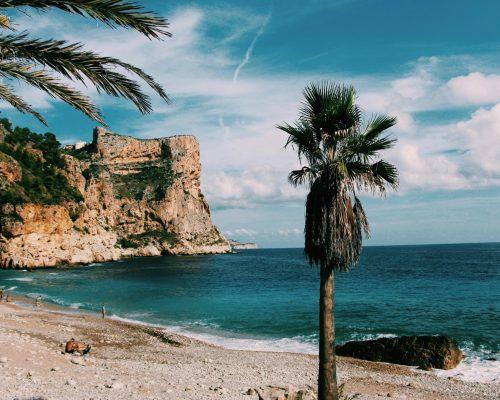 Odit International Travel and Tourism