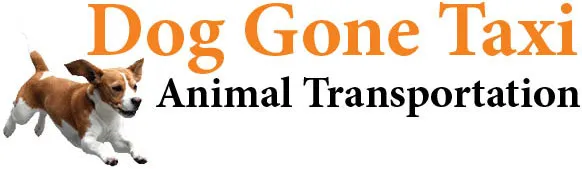 Reliable Pet Transport Service to Hawaii by DOG GONE TAX