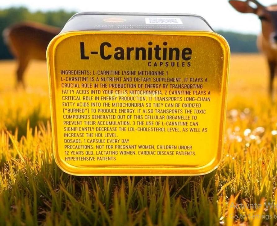 اقراص ال كارنيتين للتخسيس يعتبر من أفضل المكملات الغذائية
