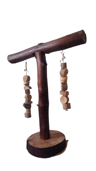 استاند ببغاء للتدريب