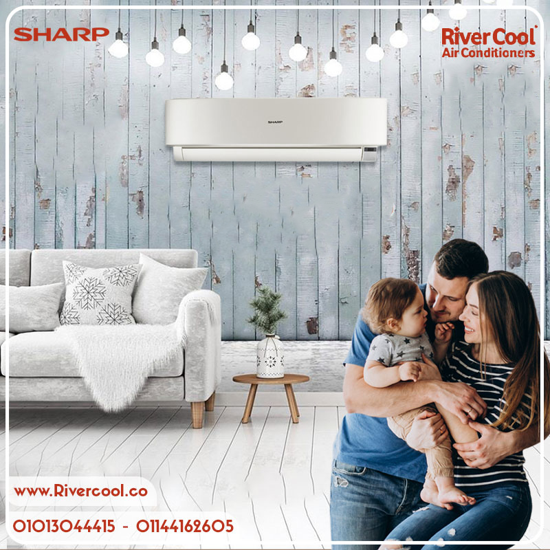 شارب… راحة محسوبة بكل تفصيلة