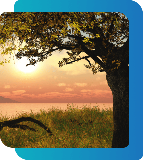 Bipolar Disorder Treatment Ontario