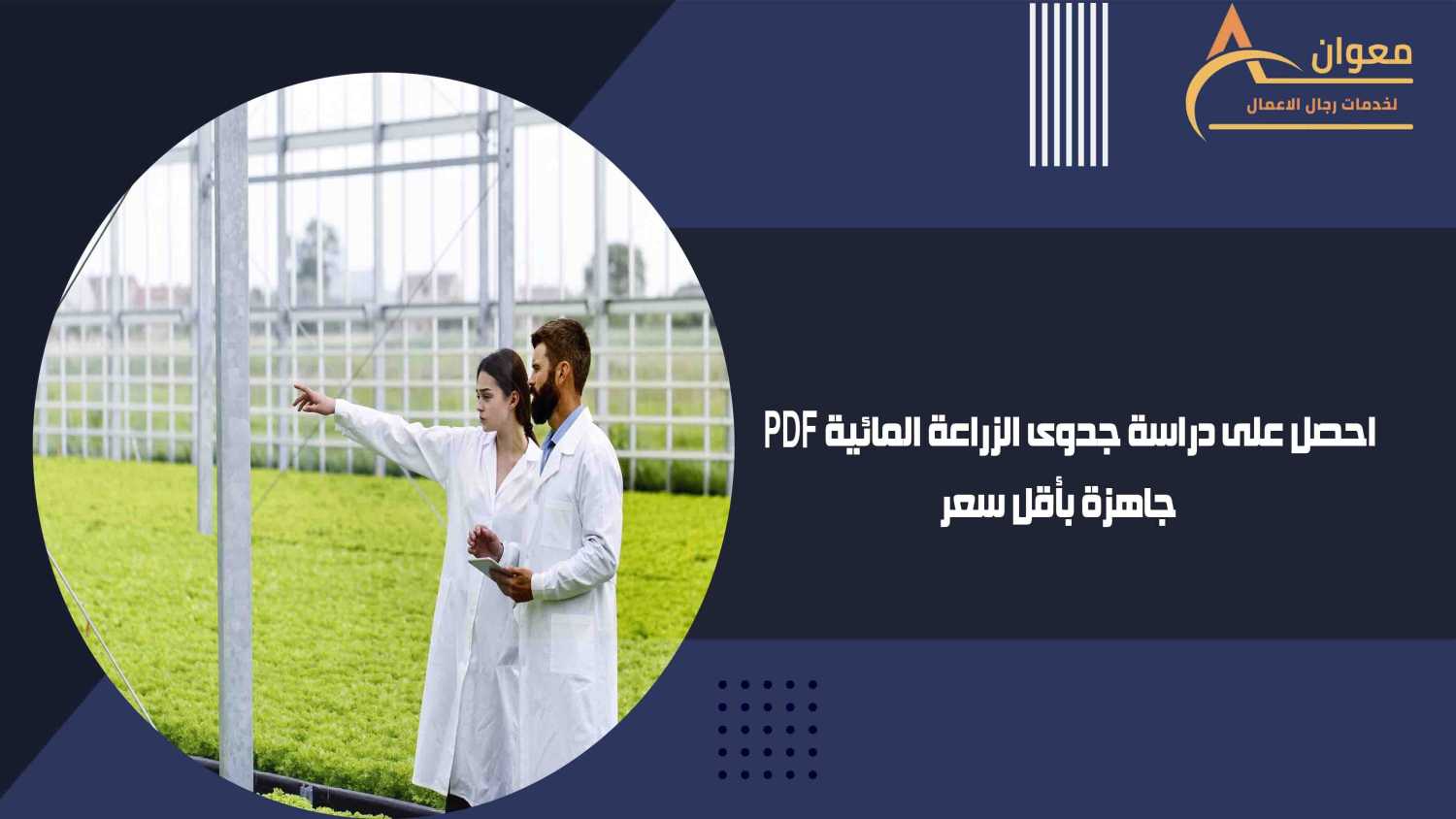 احصل على دراسة جدوى الزراعة المائية PDF جاهزة بأقل سعر