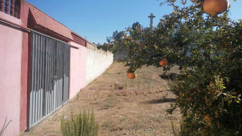 أرض بسكن في عرباوة / المغرب