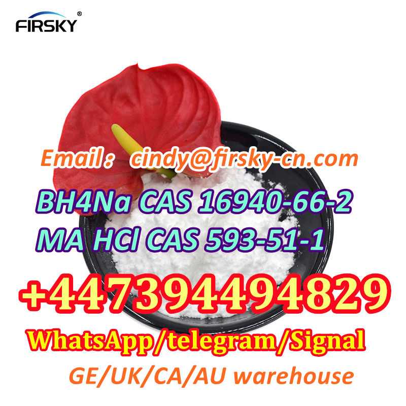 BH4Na CAS 16940/66/2/CAS 593/51/1 Methylamine hcl