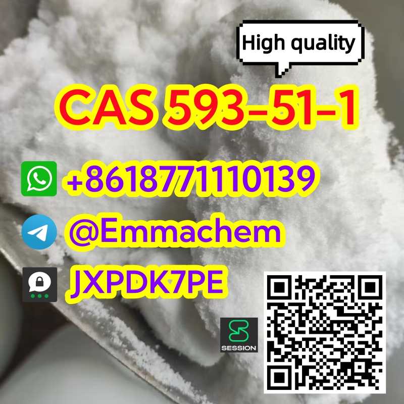 CAS 593/51/1 Methylamine hcl safe delivery