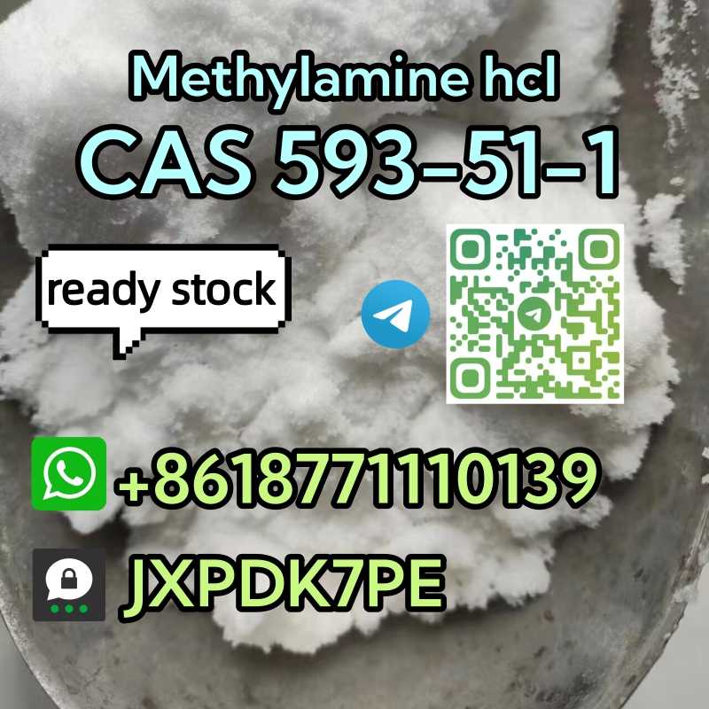 CAS 593/51/1 Methylamine hcl safe delivery