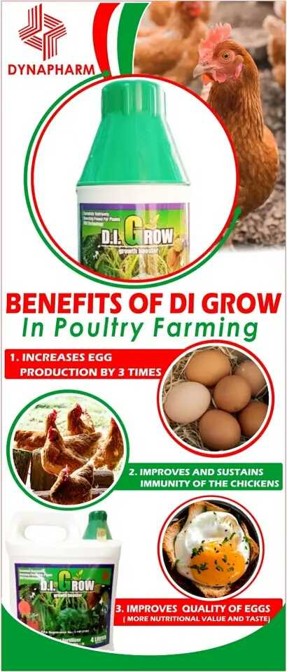 D.I GROW FOLIAR FERTILIZER