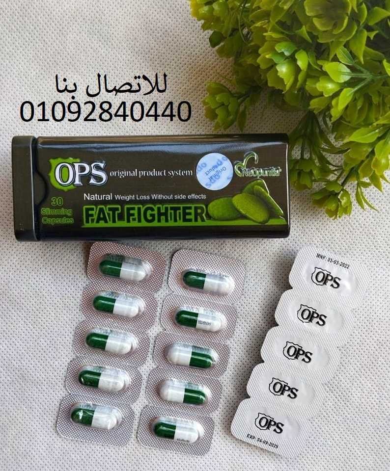 fat fighter فات فايتر