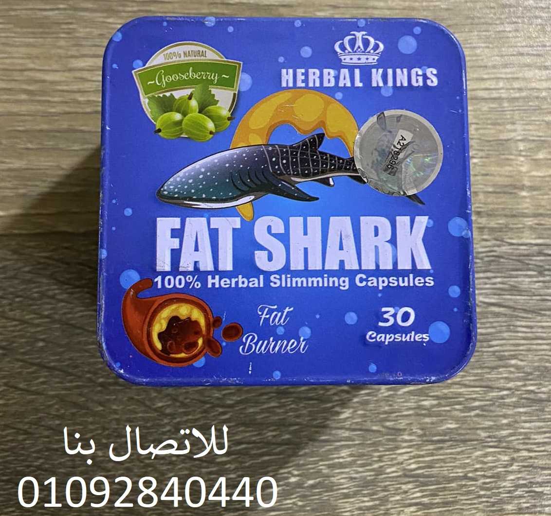 Fat Shark فات شارك