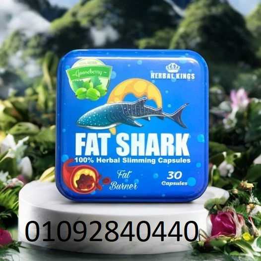 Fat Shark فات شارك