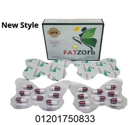 فات زورب FatZorb