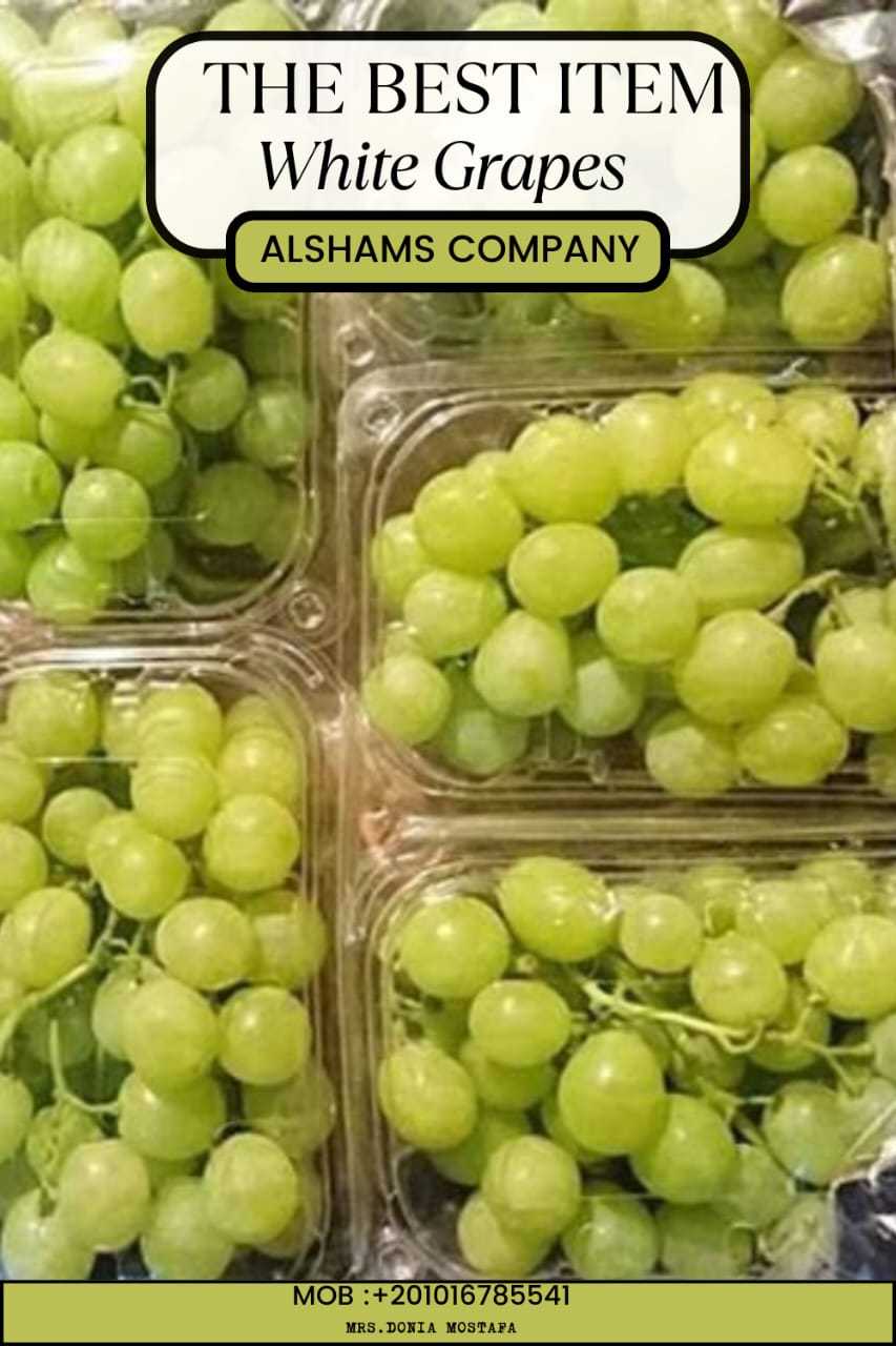 fresh grapes