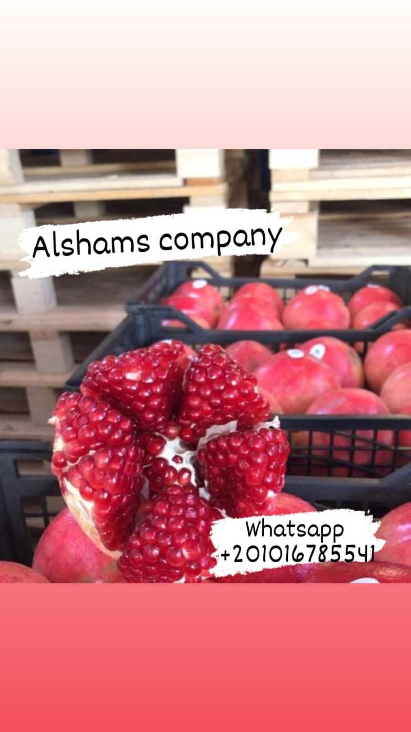 fresh pomegranate