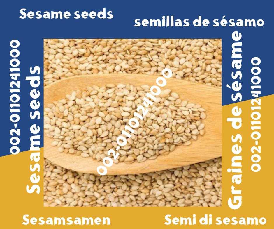 Graines de sésame 00201101241000 Exportación de semillas de sésamo Graines de sésame