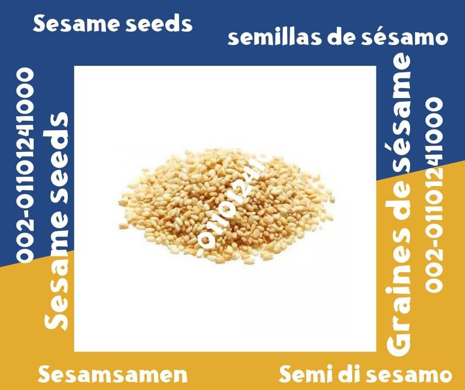 Graines de sésame 00201101241000 Exportación de semillas de sésamo Graines de sésame