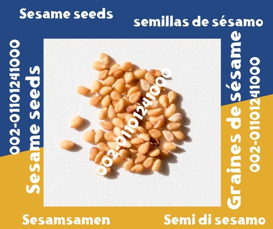 Graines de sésame 00201101241000 Exportación de semillas de sésamo Graines de sésame