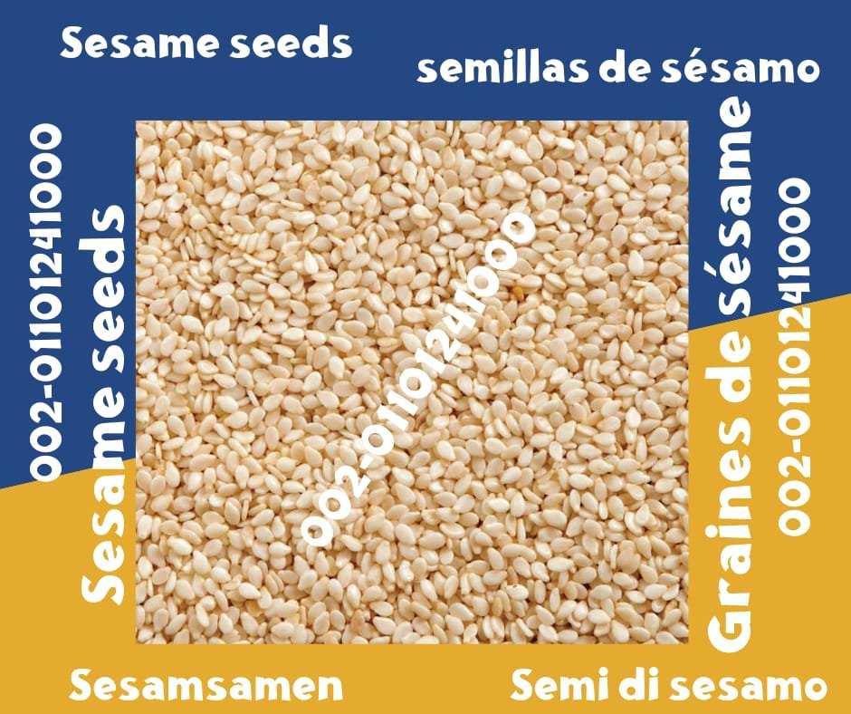 Graines de sésame 00201101241000 Exportación de semillas de sésamo  Graines de sésame