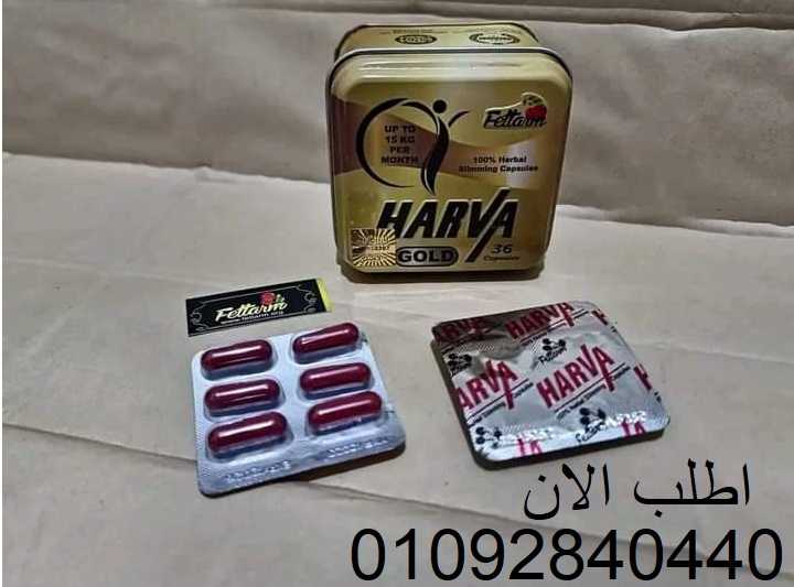 HARVA GOLD هارفا جولد