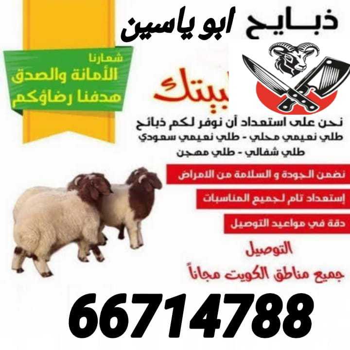 قصاب الكويت 66714788