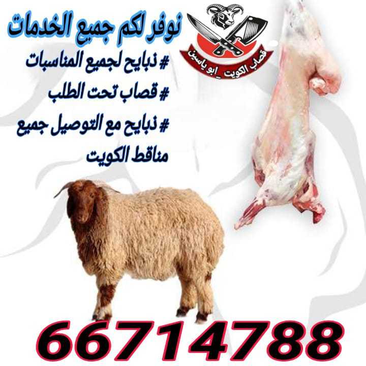 قصاب الكويت 66714788