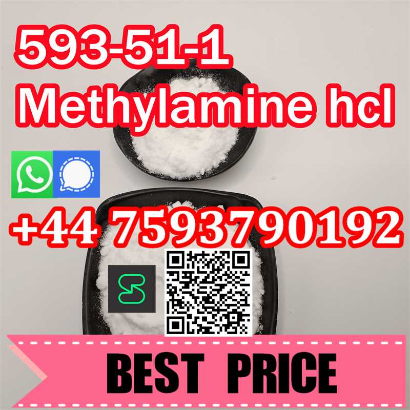 Methyl amine hcl large stock 593/51/1