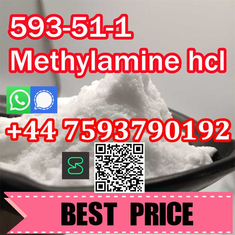 Methyl amine hcl large stock 593/51/1