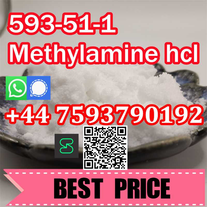 Methyl amine hcl large stock 593/51/1