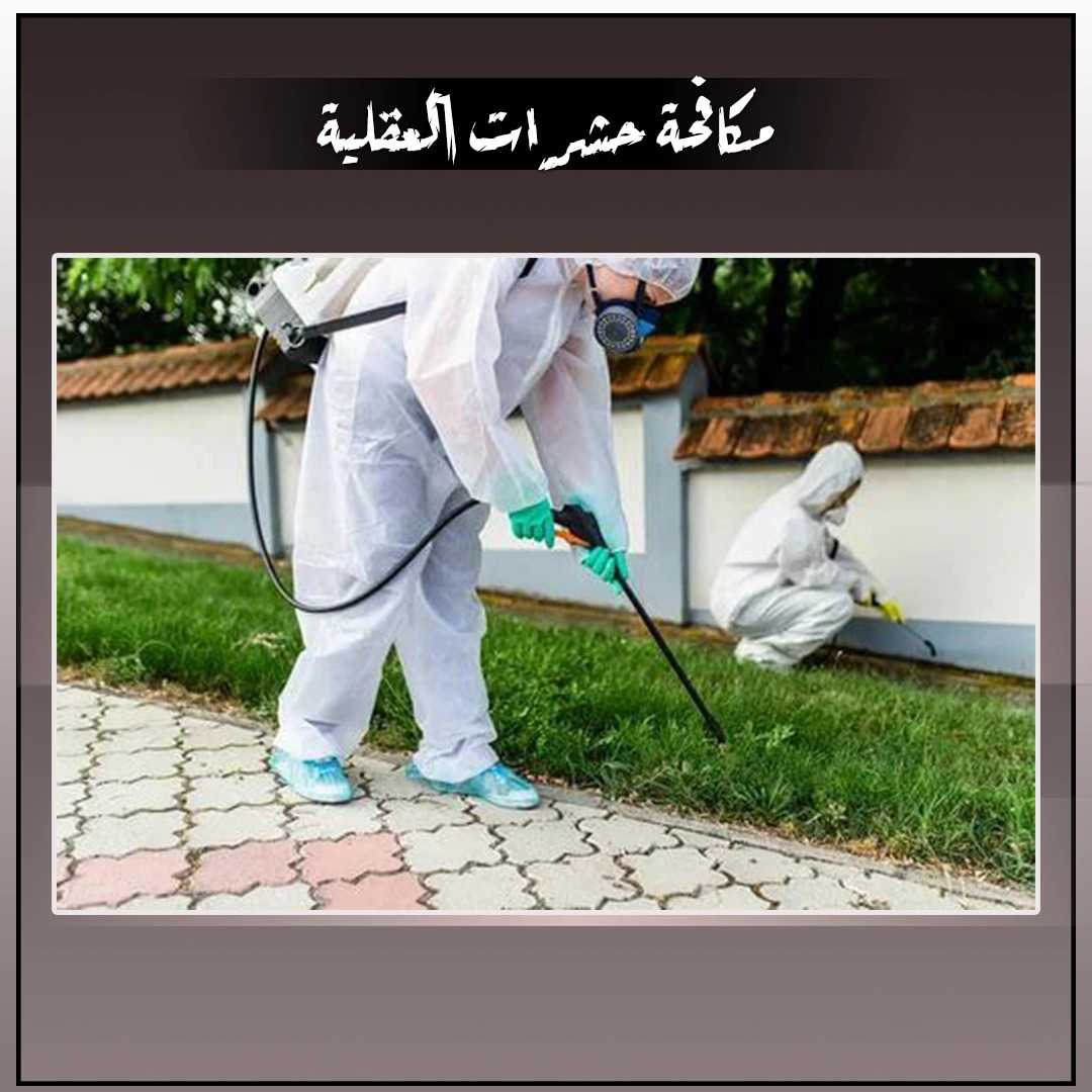 مكافحه حشرات العقلية 98976009