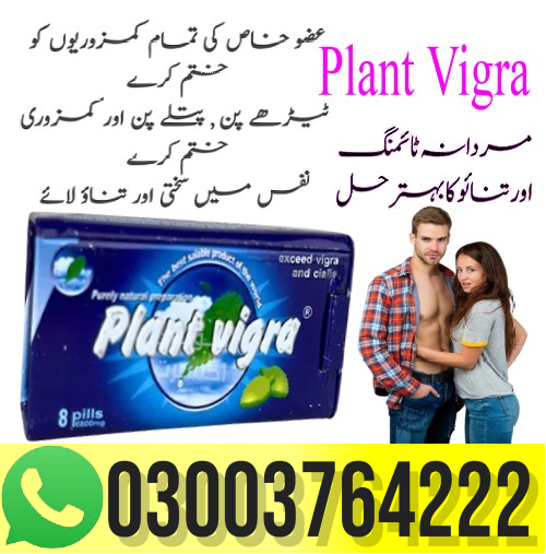 Plant Vigra Price in Pakistan 03003764222