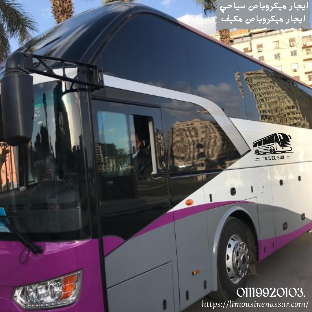 renting buses in Egypt+Mercedes tourist buses