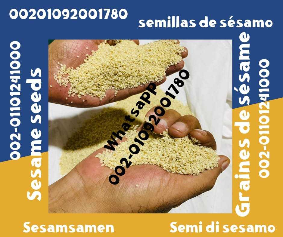 Sesame Seed Export Companies 00201092001780 sesame seeds sale prices