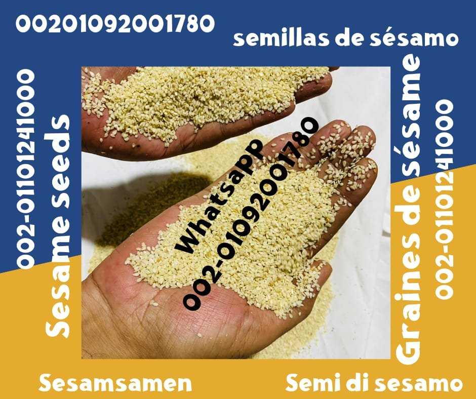 Sesame Seed Export Companies 00201092001780 sesame seeds sale prices