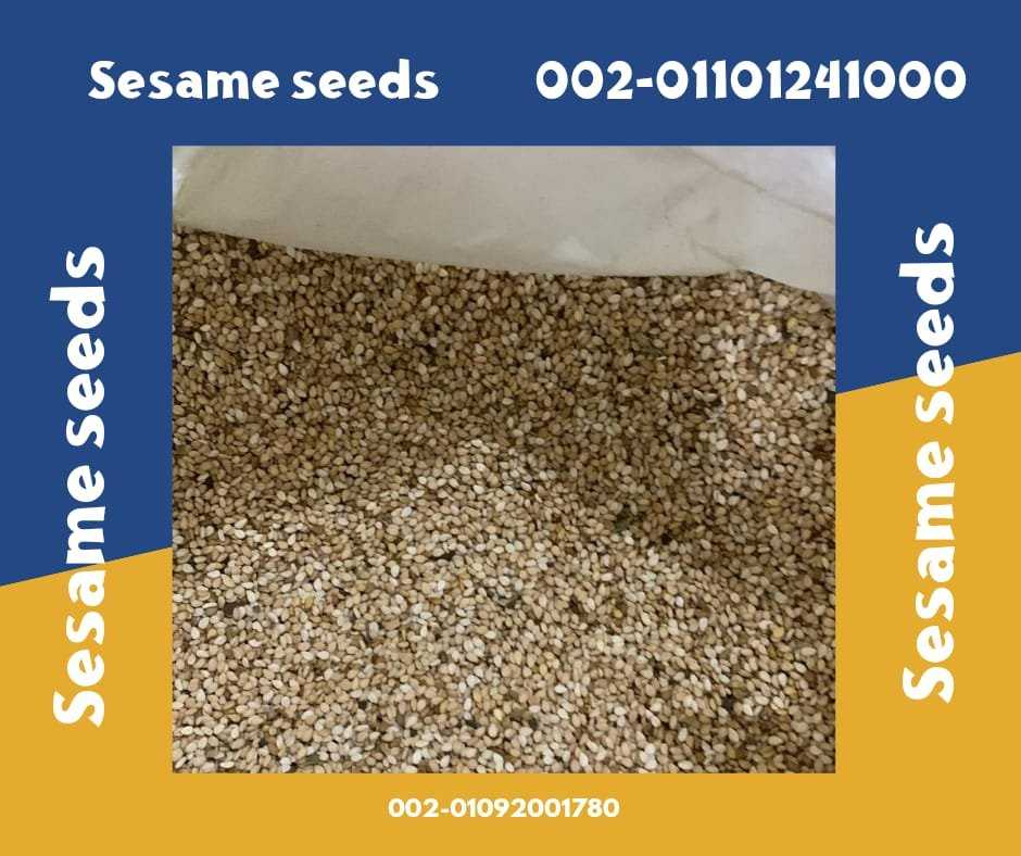 sesame seeds 00201101241000 sale