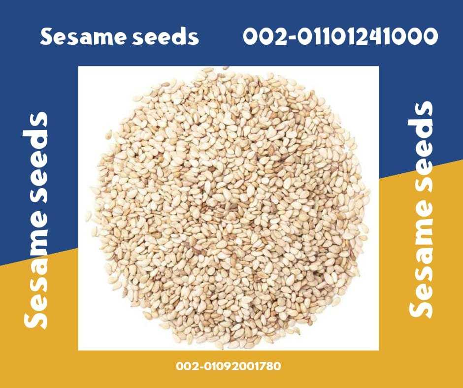 sesame seeds 00201101241000Vendita di semi di sesamo