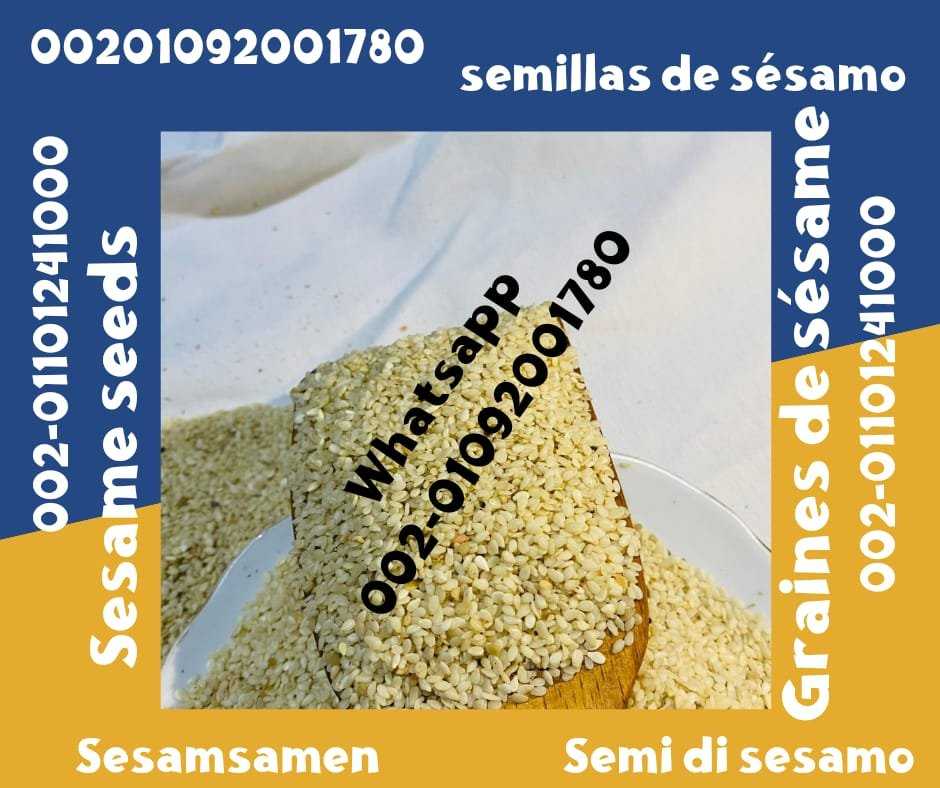 Sesame Seeds from Egypt for Sale 00201092001780 Egyptian sesame seeds prices sale