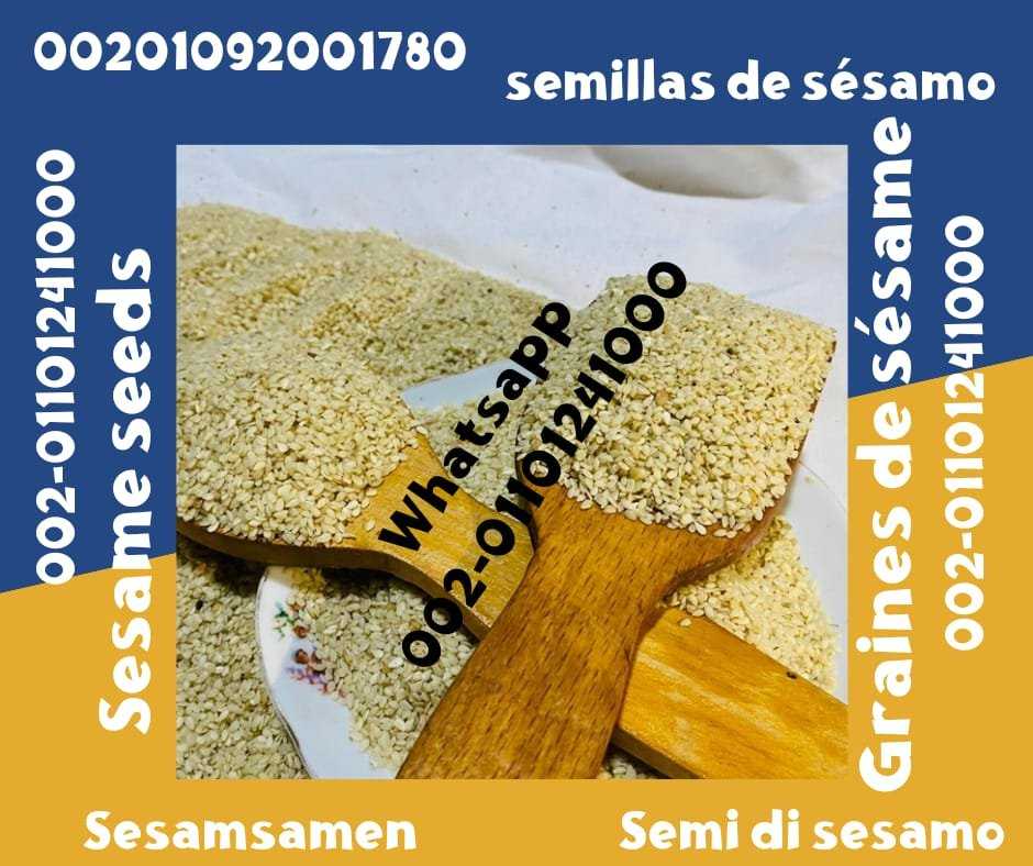 Sesame Seeds from Egypt for Sale 00201092001780 Egyptian sesame seeds prices sale