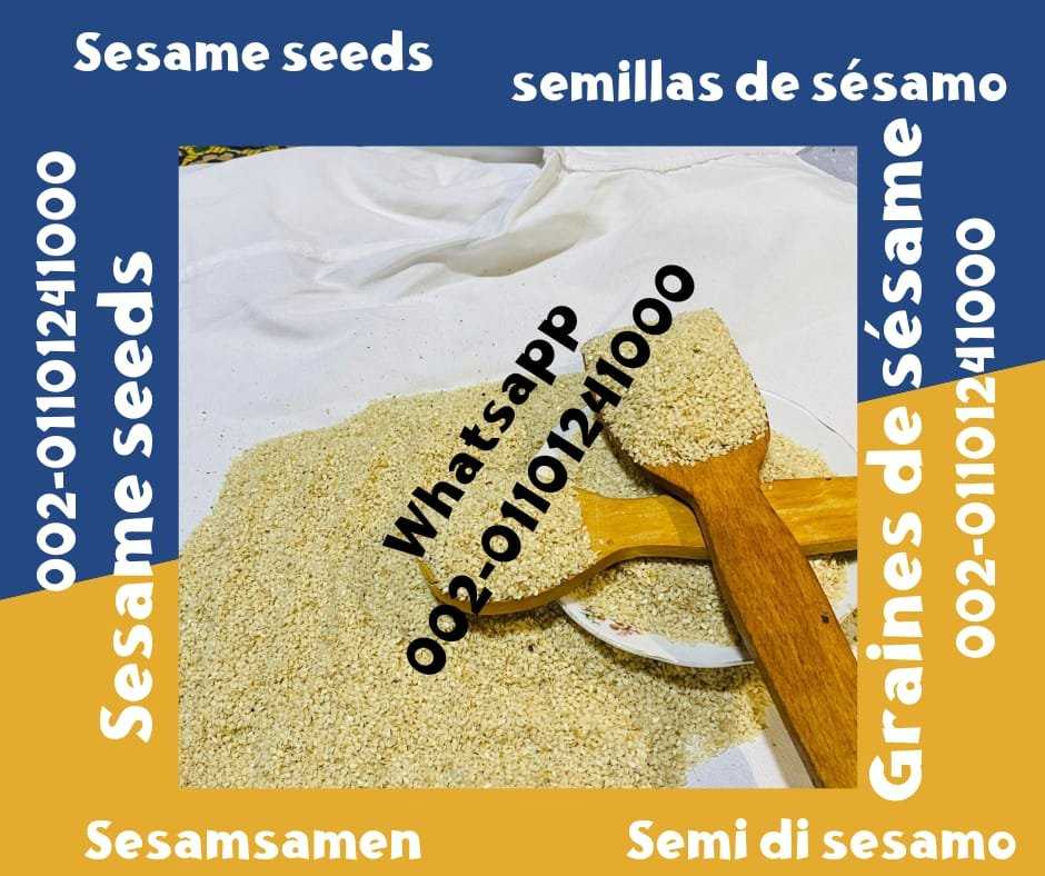 Sesame Seeds from Egypt for Sale 00201092001780 Egyptian sesame seeds prices sale