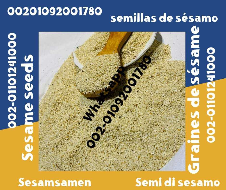 Sesame Seeds from Egypt for Sale 00201092001780 Egyptian sesame seeds prices sale