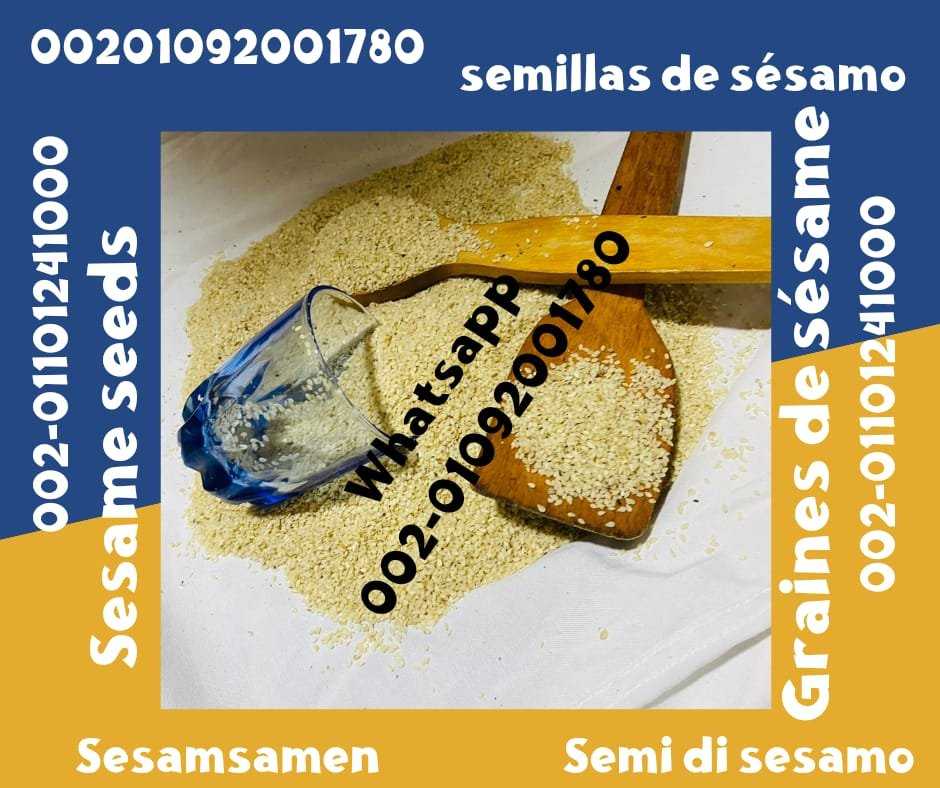 Sesame Seeds from Egypt for Sale 00201092001780 Egyptian sesame seeds prices sale