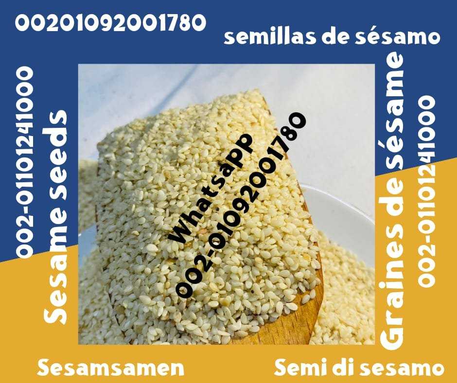 Sesame Seeds from Egypt for Sale 00201092001780 Egyptian sesame seeds prices sale