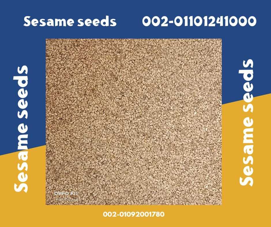 Sesame Seeds Products at Factory Prices 00201101241000 Sesame seeds are a versatile ingredient used