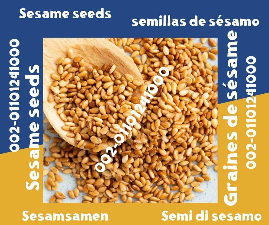 Sesame Seeds Products at Factory Prices 00201101241000 Sesame seeds are a versatile ingredient used