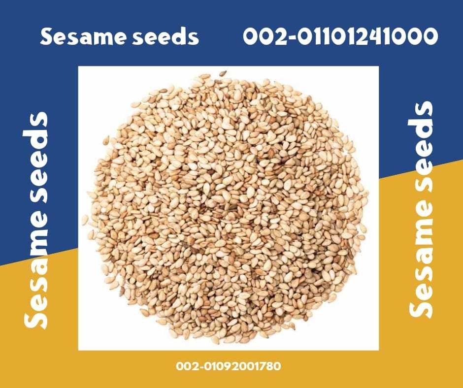 Sesame Seeds Products at Factory Prices 00201101241000 Sesame seeds are a versatile ingredient used